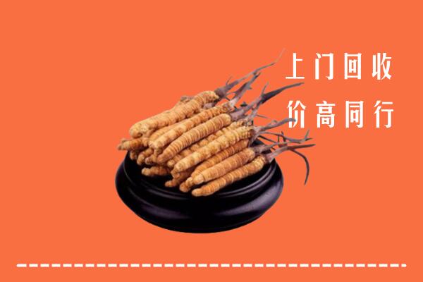 开封回收冬虫夏草